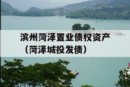 滨州菏泽置业债权资产（菏泽城投发债）