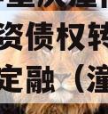 2023年重庆潼南区工业投资债权转让项目政府债定融（潼南区产业）