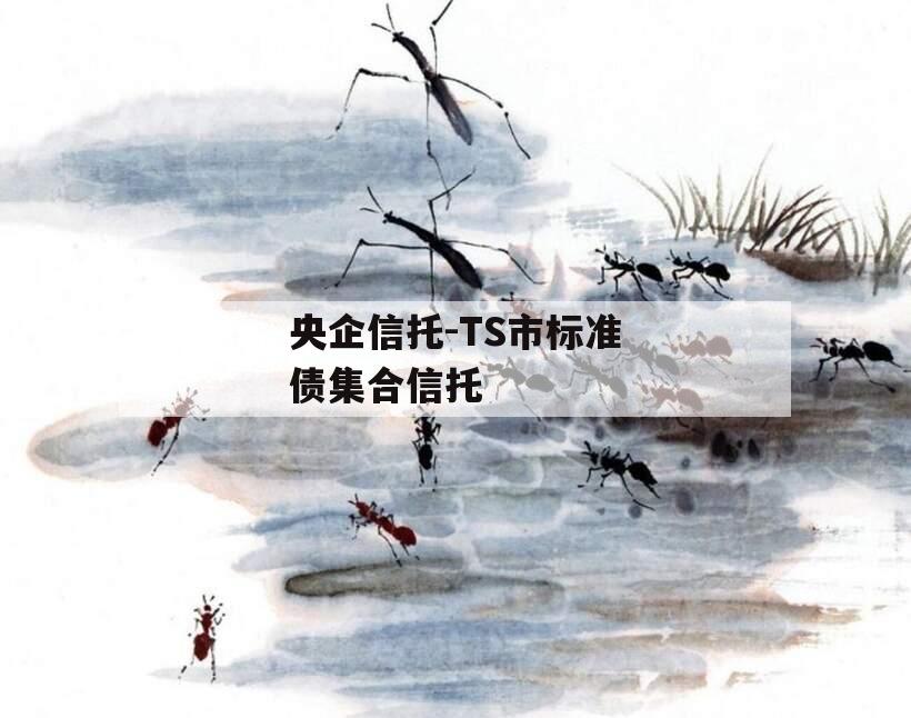 央企信托-TS市标准债集合信托 央企信托-TS市标准债集合信托