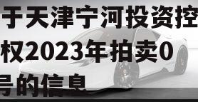 关于天津宁河投资控股债权2023年拍卖02号的信息