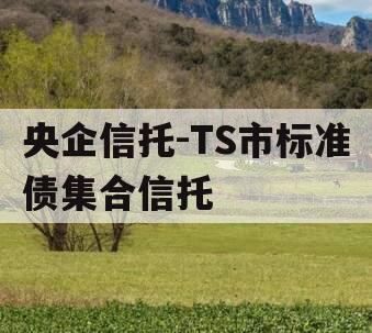 央企信托-TS市标准债集合信托 央企信托-TS市标准债集合信托