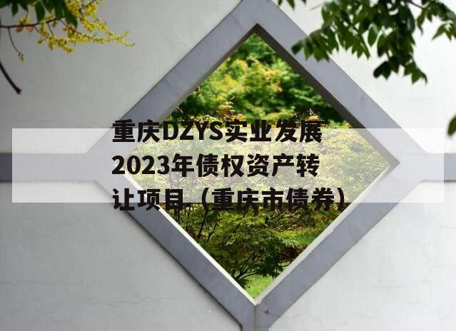 重庆DZYS实业发展2023年债权资产转让项目（重庆市债券）
