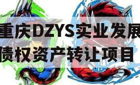 重庆DZYS实业发展债权资产转让项目 重庆DZYS实业发展债权资产转让项目