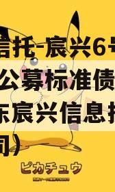 华宸信托-宸兴6号临沂AA公募标准债项目（山东宸兴信息技术有限公司）