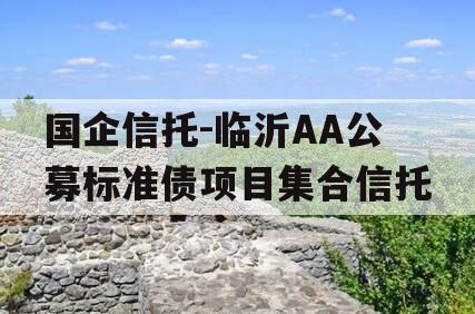 国企信托-临沂AA公募标准债项目集合信托