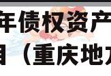 重庆DZYS实业发展2023年债权资产转让项目（重庆地方债券发行）