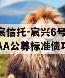 华宸信托-宸兴6号临沂AA公募标准债项目