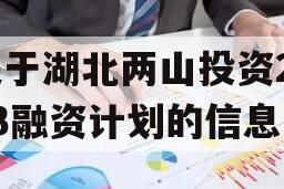 关于湖北两山投资2023融资计划的信息