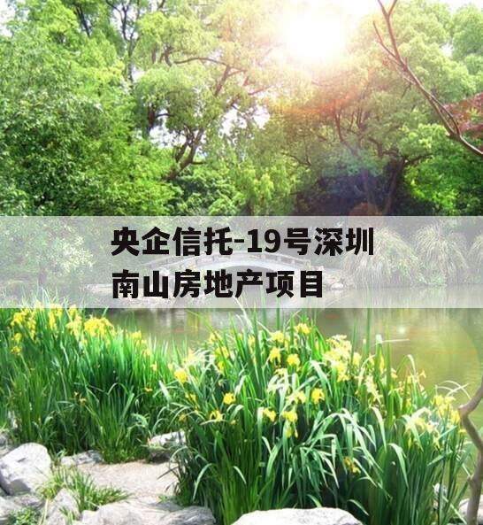央企信托-19号深圳南山房地产项目