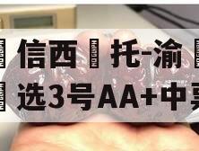 山‮信西‬托-渝‮优债‬选3号AA+中票