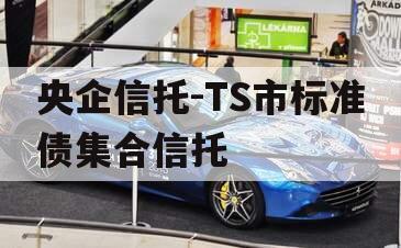 央企信托-TS市标准债集合信托 央企信托-TS市标准债集合信托