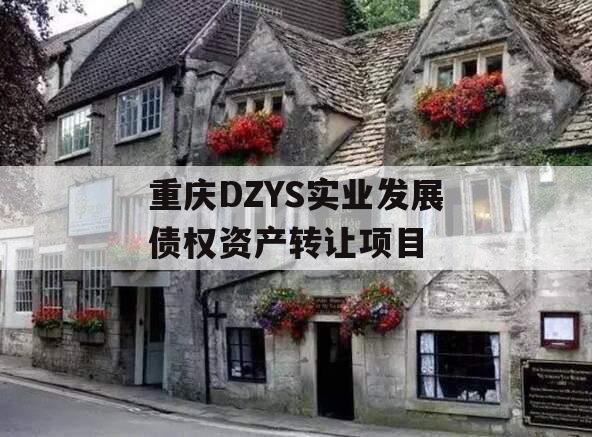 重庆DZYS实业发展债权资产转让项目