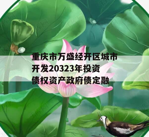 重庆市万盛经开区城市开发20323年投资债权资产政府债定融