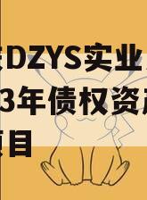 重庆DZYS实业发展2023年债权资产转让项目