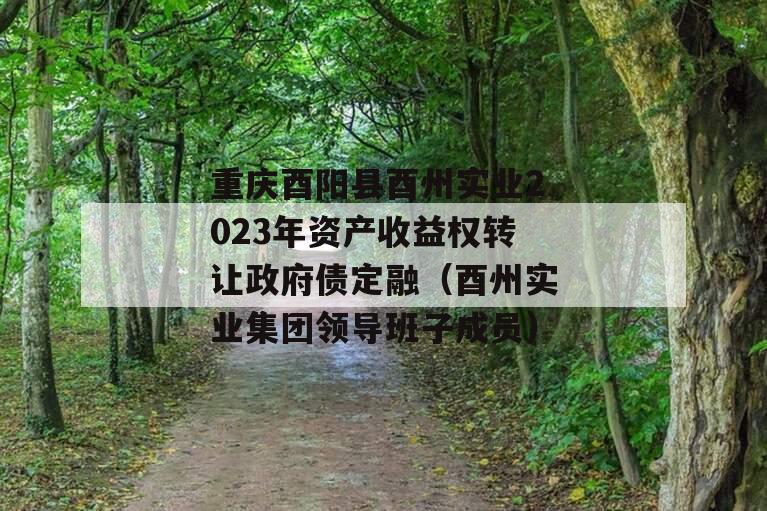 重庆酉阳县酉州实业2023年资产收益权转让政府债定融（酉州实业集团领导班子成员）