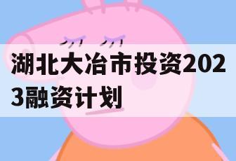 湖北大冶市投资2023融资计划