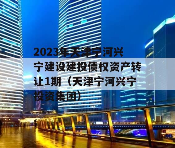 2023年天津宁河兴宁建设建投债权资产转让1期（天津宁河兴宁投资集团）