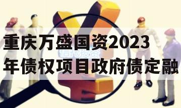 重庆万盛国资2023年债权项目政府债定融