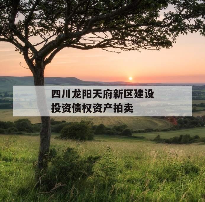 四川龙阳天府新区建设投资债权资产拍卖