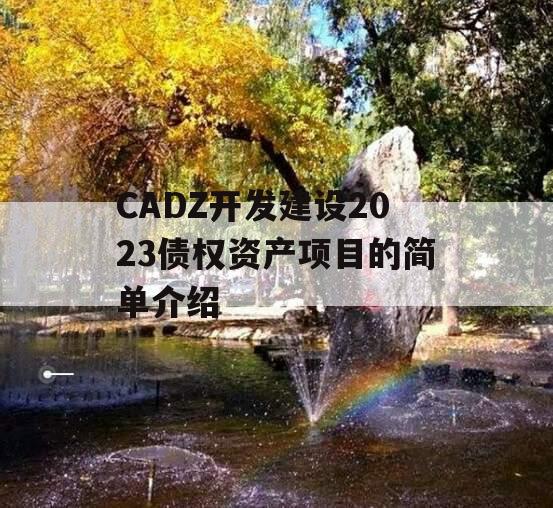 CADZ开发建设2023债权资产项目的简单介绍