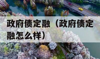政府债定融（政府债定融怎么样）