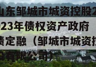 山东邹城市城资控股2023年债权资产政府债定融（邹城市城资控股有限公司）