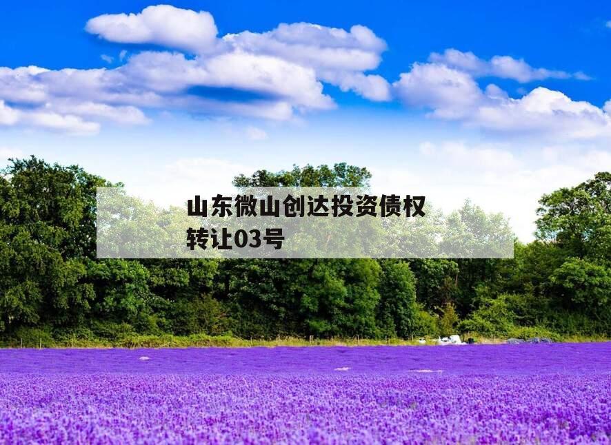 山东微山创达投资债权转让03号