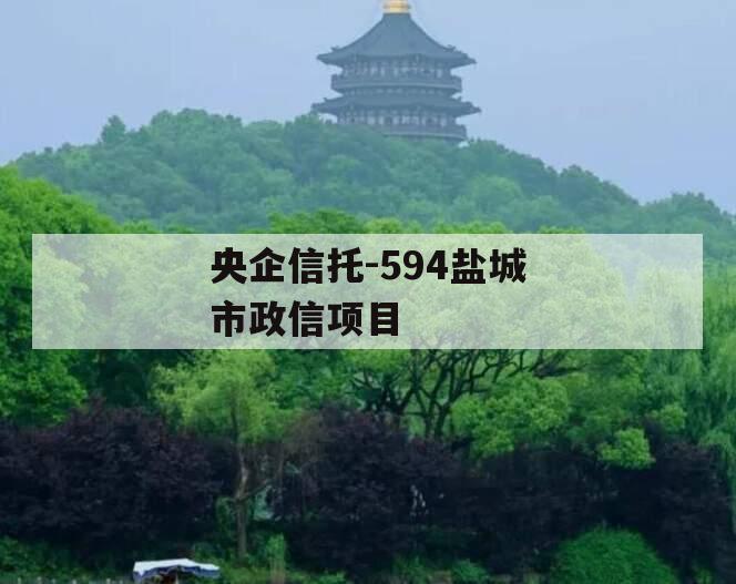 央企信托-594盐城市政信项目 央企信托-594盐城市政信项目
