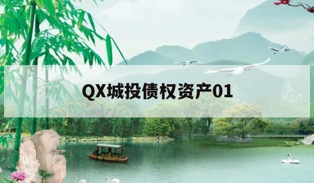QX城投债权资产01 QX城投债权资产01