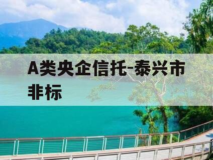 A类央企信托-泰兴市非标 A类央企信托-泰兴市非标