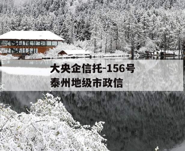 大央企信托-156号泰州地级市政信