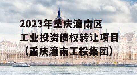 2023年重庆潼南区工业投资债权转让项目（重庆潼南工投集团）