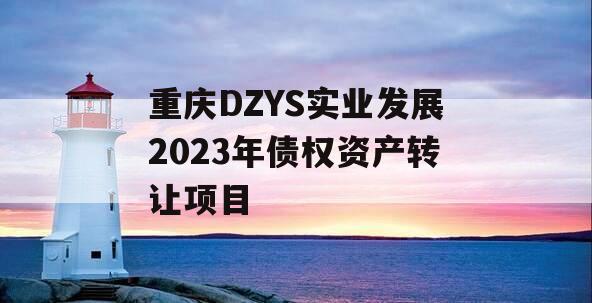 重庆DZYS实业发展2023年债权资产转让项目 重庆DZYS实业发展2023年债权资产转让项目