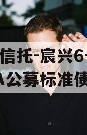华宸信托-宸兴6号临沂AA公募标准债项目