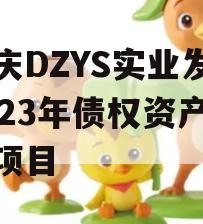 重庆DZYS实业发展2023年债权资产转让项目 重庆DZYS实业发展2023年债权资产转让项目