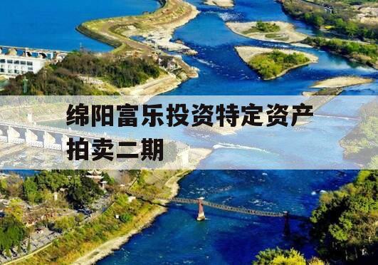 绵阳富乐投资特定资产拍卖二期 绵阳富乐投资特定资产拍卖二期