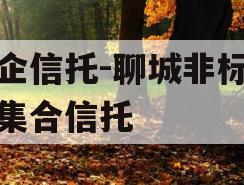 国企信托-聊城非标政信集合信托