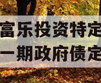 绵阳富乐投资特定资产拍卖一期政府债定融 绵阳富乐投资特定资产拍卖一期政府债定融
