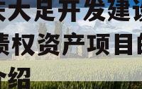 重庆大足开发建设2023债权资产项目的简单介绍