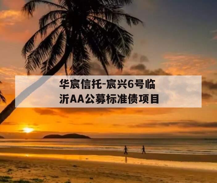 华宸信托-宸兴6号临沂AA公募标准债项目