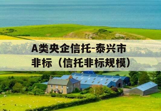 A类央企信托-泰兴市非标（信托非标规模）