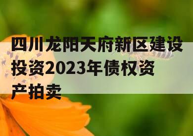 四川龙阳天府新区建设投资2023年债权资产拍卖 四川龙阳天府新区建设投资2023年债权资产拍卖