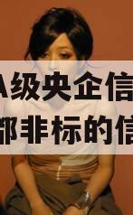 关于A级央企信托-扬州江都非标的信息