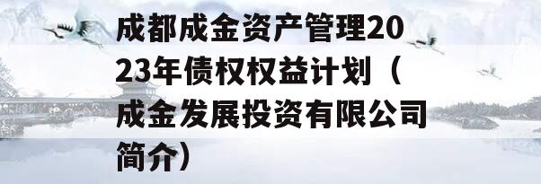 成都成金资产管理2023年债权权益计划（成金发展投资有限公司简介）
