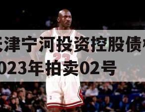 天津宁河投资控股债权2023年拍卖02号