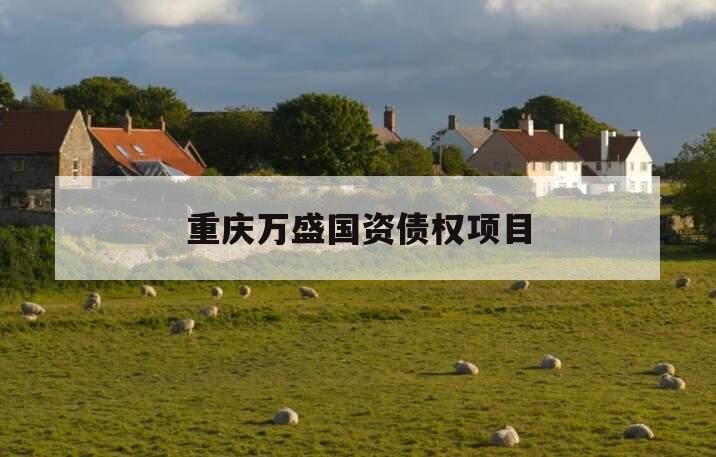 重庆万盛国资债权项目 重庆万盛国资债权项目