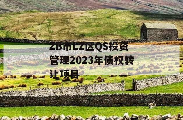ZB市LZ区QS投资管理2023年债权转让项目