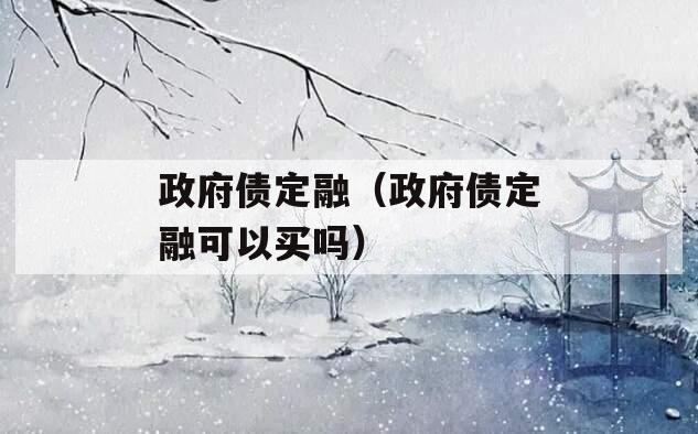 政府债定融（政府债定融可以买吗）