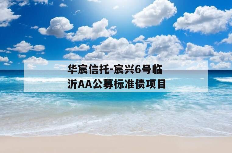 华宸信托-宸兴6号临沂AA公募标准债项目 华宸信托-宸兴6号临沂AA公募标准债项目