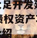 重庆大足开发建设2023年债权资产项目的简单介绍
